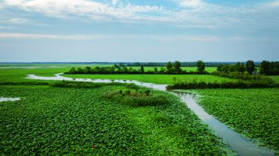《抓住清静瞬间》