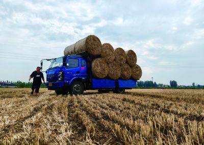 《秸秆新路径》