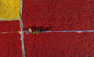 红火的日子（艺术类）