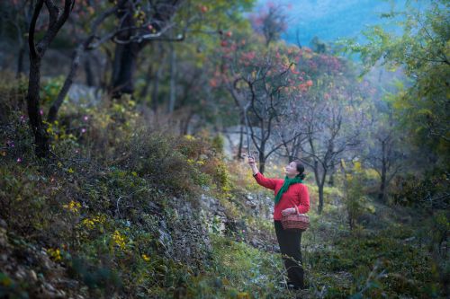 柿子沟人像（四）