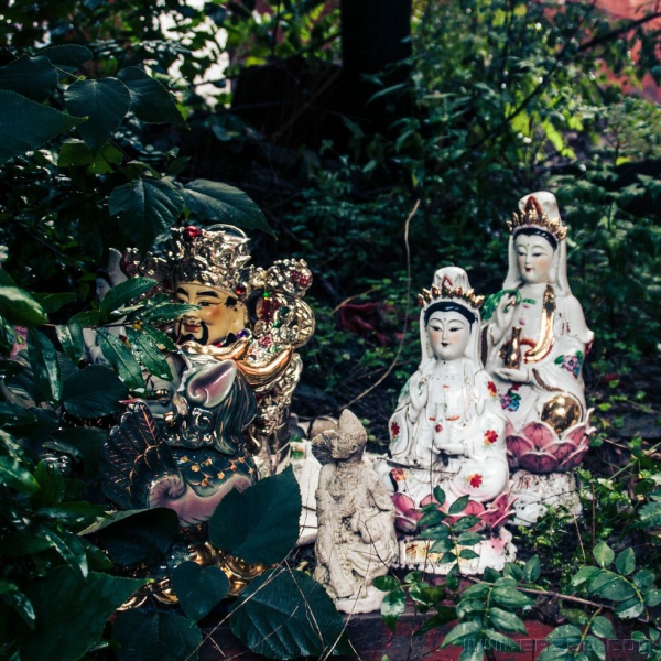 拾城记（组照）