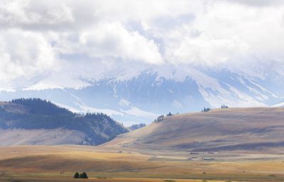 金秋时节的喀拉峻草原