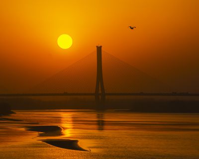 济南建邦黄河大桥44