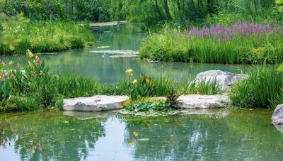 济南的白泉泉群6