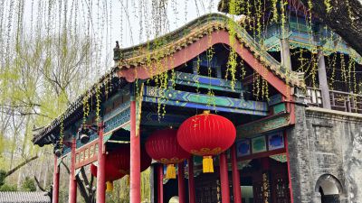 一丝垂柳吐绿芽2