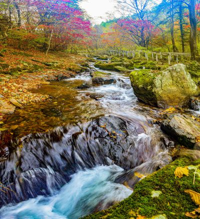 溪流穿行于彩林间