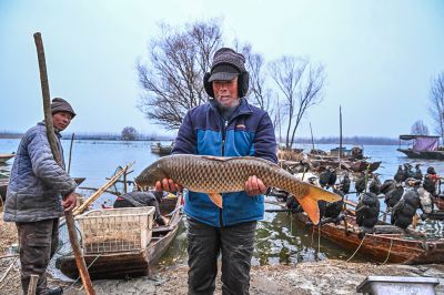 微山湖四鼻孔大鲤鱼