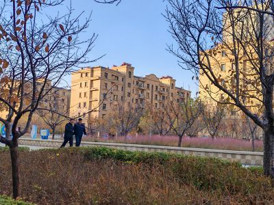 251127市民公园的早晨