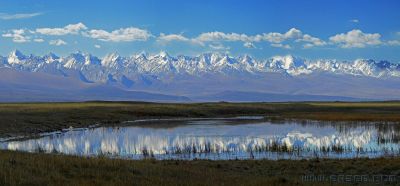 [原创]巴音布鲁克湿地