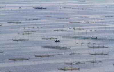《忙活的渔民》