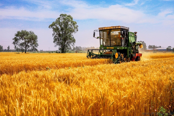 《在希望的田野上》