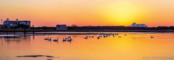 《朝霞映照天鹅湖》