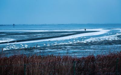 最美的那一片海