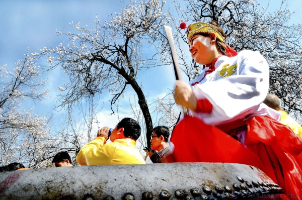 《锣鼓声声醉杏林》