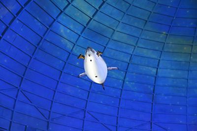 山东博物馆观展