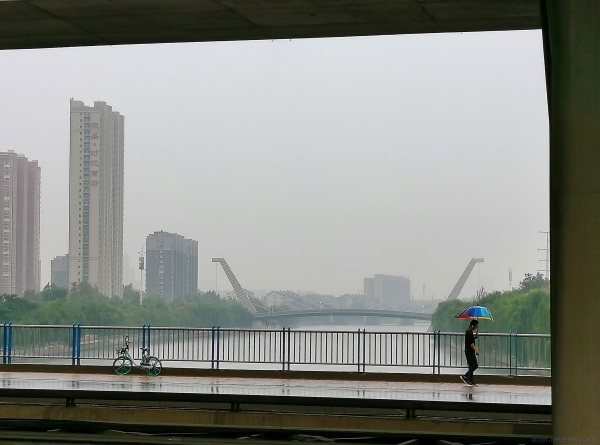 绿色出行一路景（组照）3