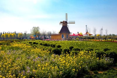 《人间四月芳菲尽》