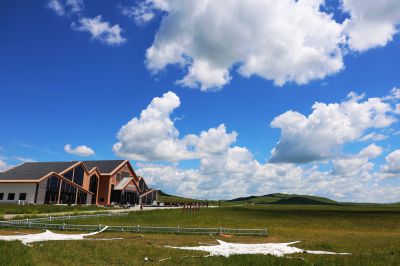 美丽的内蒙古大草原（4）
