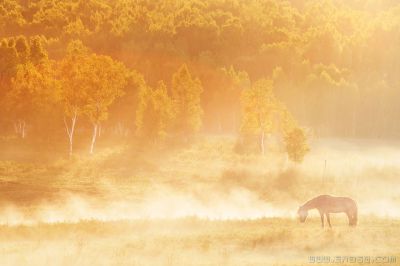 雨过夕阳雾气浓