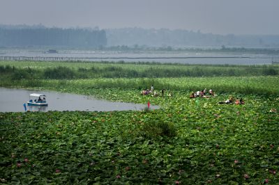 《流连忘返的季节》