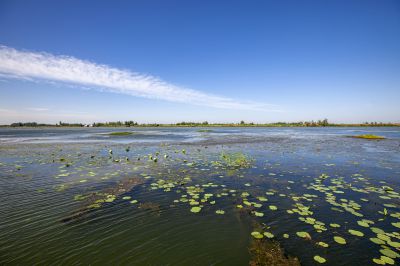 《生态微山湖》