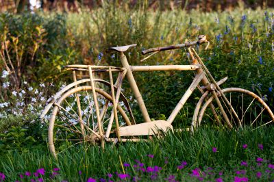 《趣味原生态》