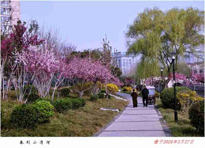 春到小清河——4