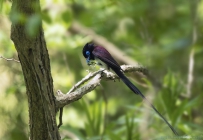 [原创]享用美餐