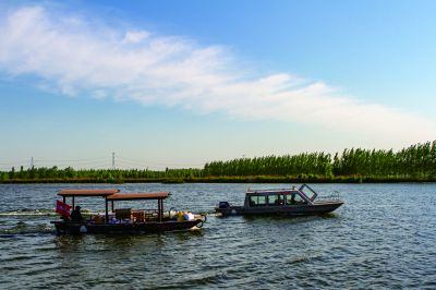 《微山湖见闻》