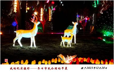 我的纪实摄影——市民公园的早晨   2