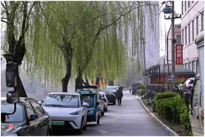 春到城河边——11