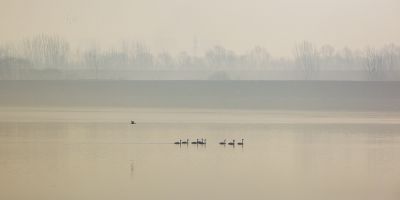 济南天桥沉砂池之晨2