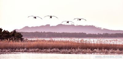 [原创]战鹰归来
