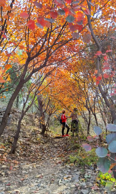 济南南部山区东捎近村红叶美如画