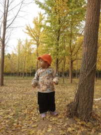 银杏林中的姐弟俩（二）