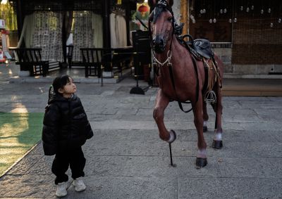 百花洲观看马的孩子