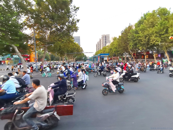 绿色出行一路景（组照）6