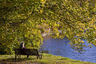 澳大利亚采风之旅 —— 墨尔本国家植物园随拍