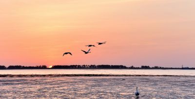 [原创]日出东方红霞飞