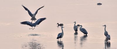 [原创]事不关己