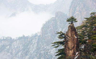 [原创]梦笔生花