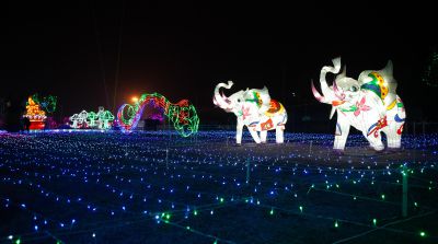 《象灯踏星河》