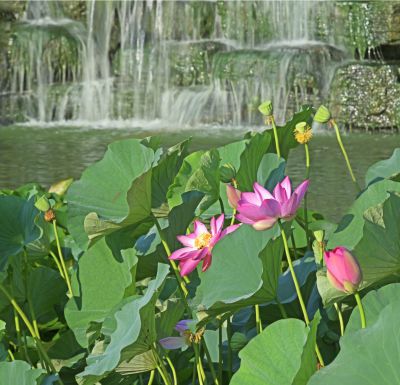 水光潋滟晴方好，山色空蒙雨亦奇。