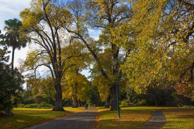 澳大利亚采风之旅 —— 墨尔本菲兹洛伊花园秋色（一）