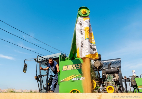 《颗粒归仓喜在心》