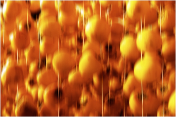 又是季柿子丰收的季节