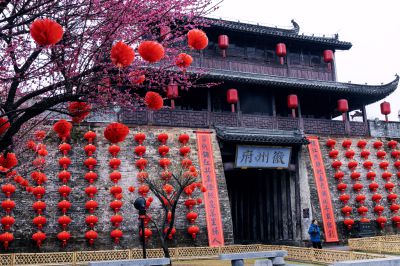 一城灯火，半树梅花。