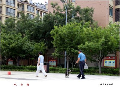 人和狗——1