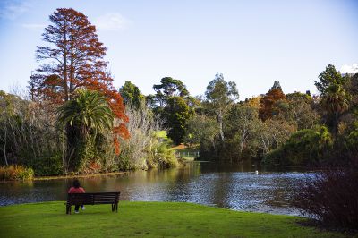 澳大利亚采风之旅 —— 墨尔本国家植物园（一）