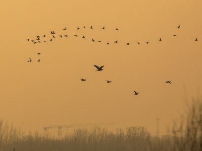 济南天桥沉沙湖风景9